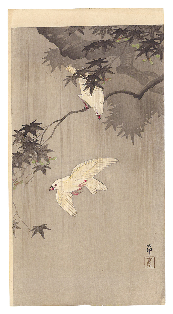 Ohara Koson (Shoson) “Java Sparrows with Green Maple in Rain”／