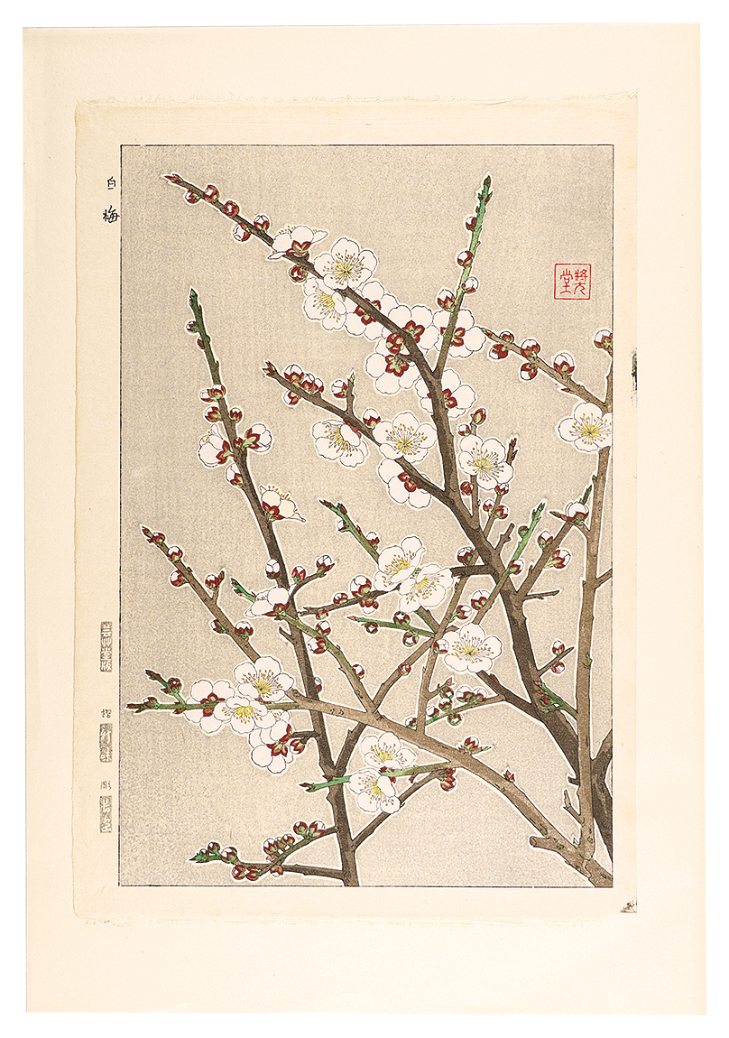 Kawarazaki Shodo “Floral Calendar of Japan / Plum”／