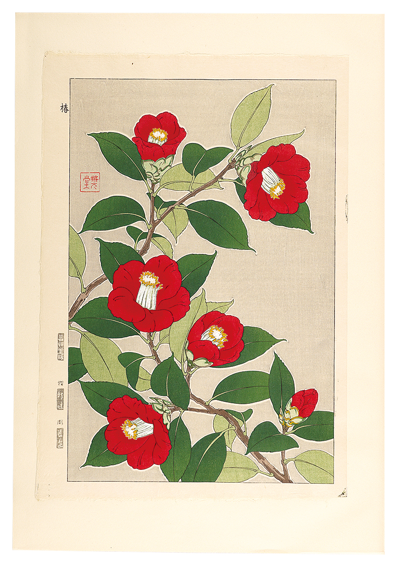 Kawarazaki Shodo “Floral Calendar of Japan / Camellia”／