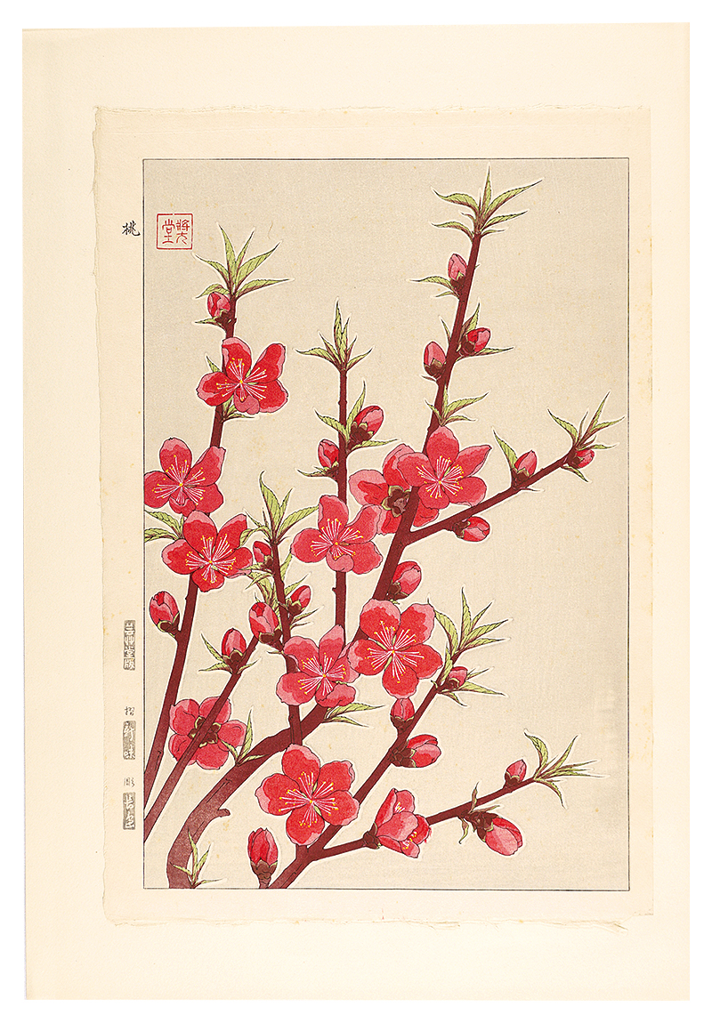 Kawarazaki Shodo “Floral Calendar of Japan / Peach”／