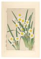 <strong>Kawarazaki Shodo</strong><br>Floral Calendar of Japan / Nar......