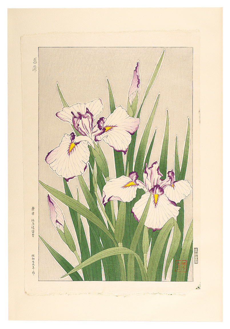 Kawarazaki Shodo “Floral Calendar of Japan / Iris”／