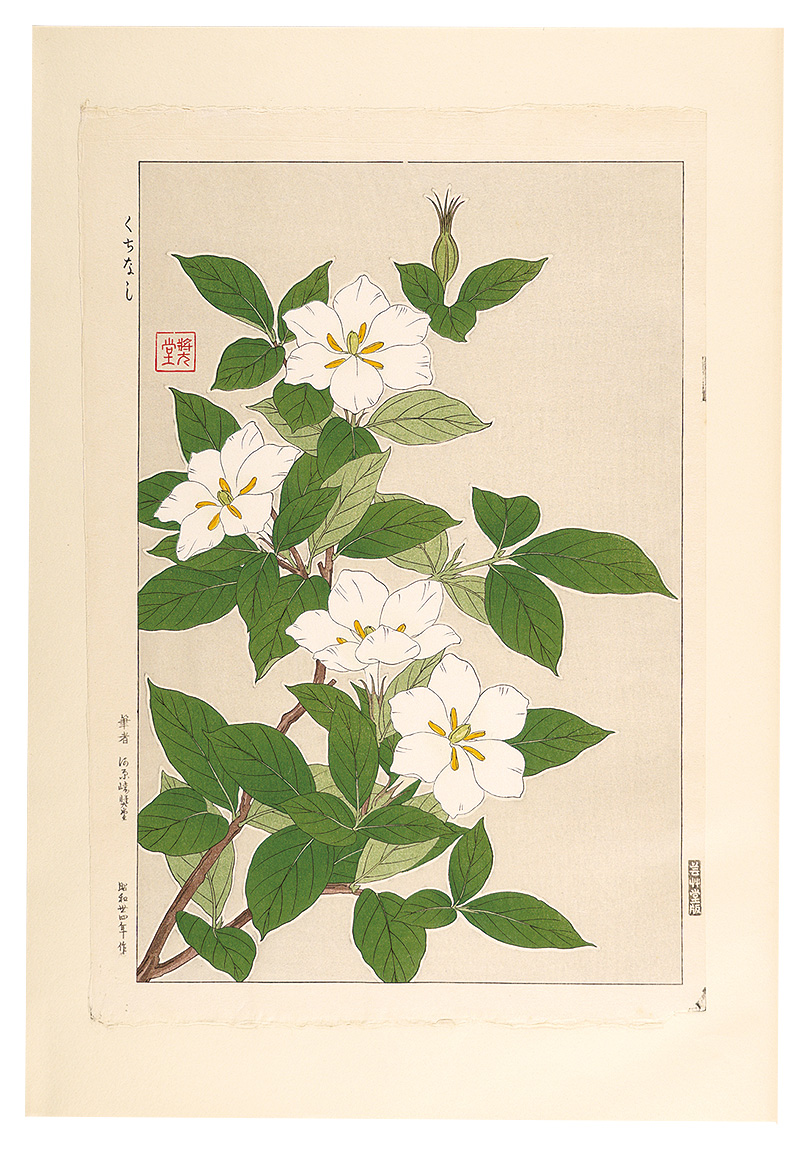 Kawarazaki Shodo “Floral Calendar of Japan / Gardenia”／