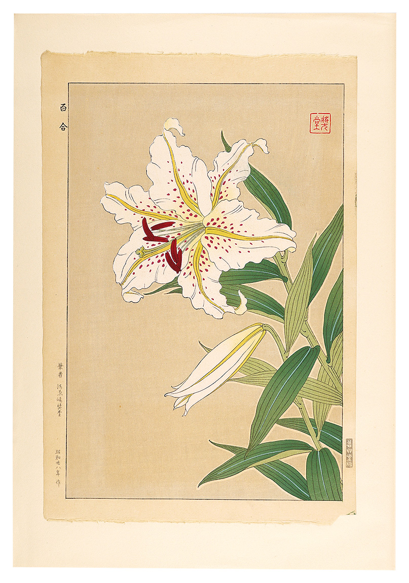 Kawarazaki Shodo “Floral Calendar of Japan / Lily”／