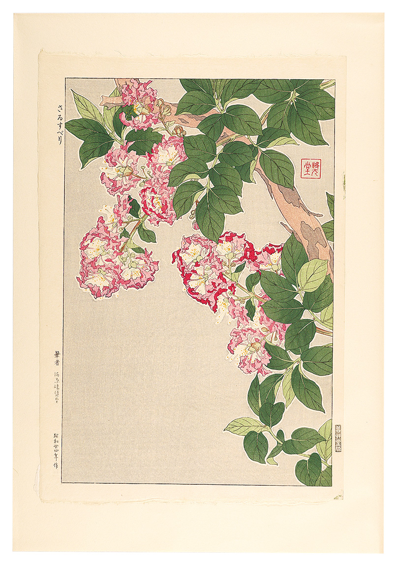 Kawarazaki Shodo “Floral Calendar of Japan / Crape myrtle”／