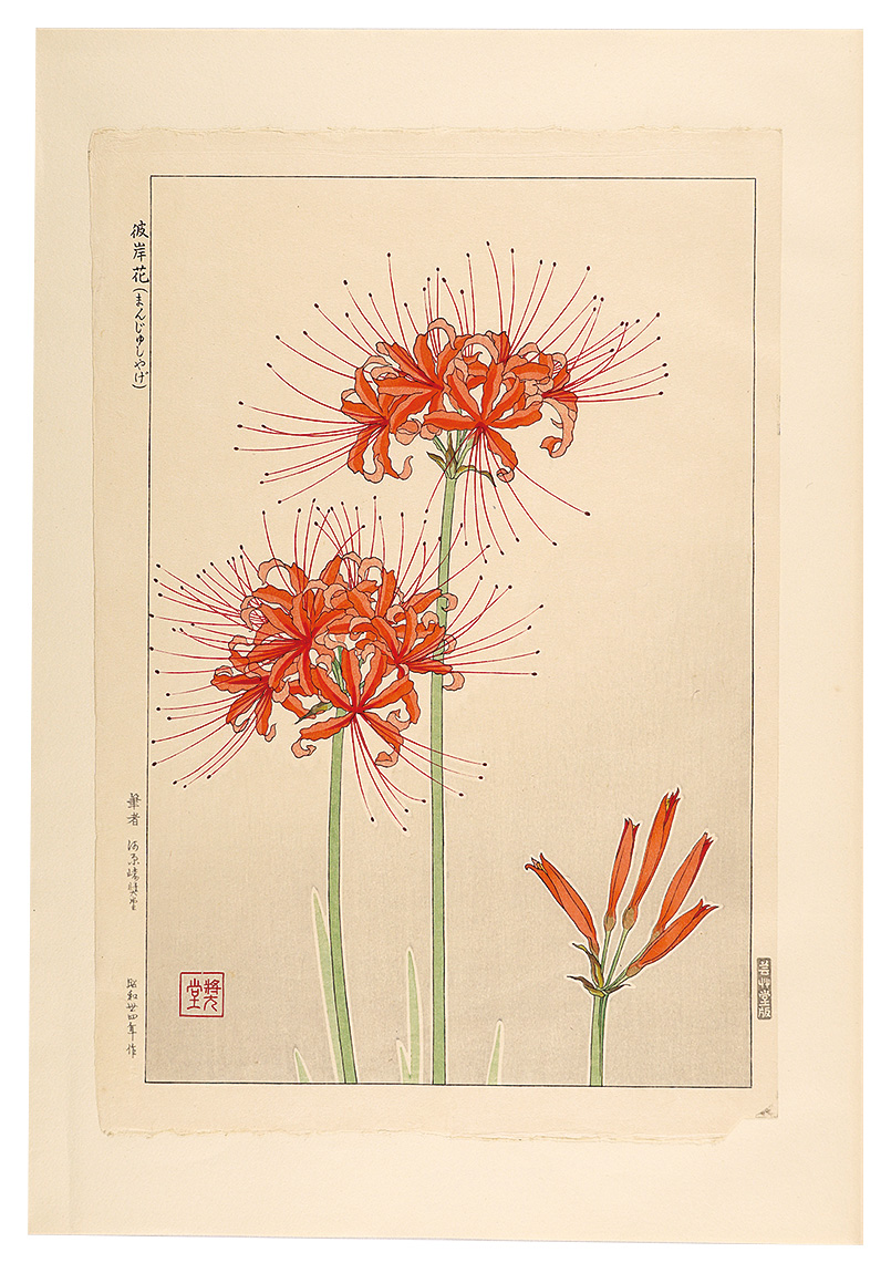 Kawarazaki Shodo “Floral Calendar of Japan / Hurricane Lily”／