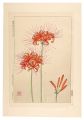 <strong>Kawarazaki Shodo</strong><br>Floral Calendar of Japan / Hur......