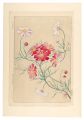 <strong>Kawarazaki Shodo</strong><br>Floral Calendar of Japan / Cos......