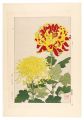 <strong>Kawarazaki Shodo</strong><br>Floral Calendar of Japan / Chr......