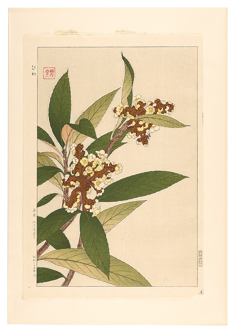 Kawarazaki Shodo “Floral Calendar of Japan / Loquat”／