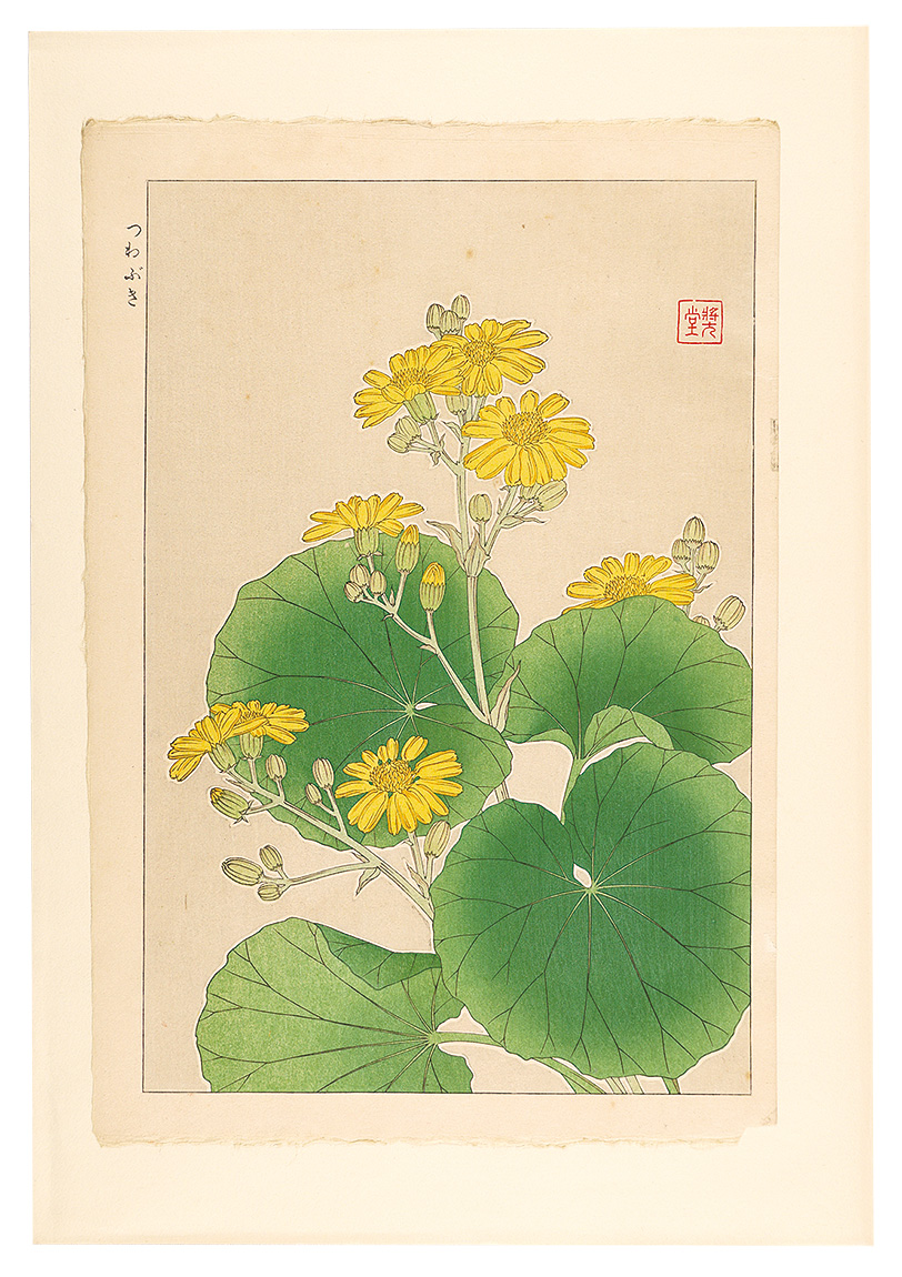 Kawarazaki Shodo “Floral Calendar of Japan / Japanese Silver Leaf”／