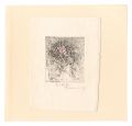 <strong>Horii Hideo</strong><br>Temptation of Flowers