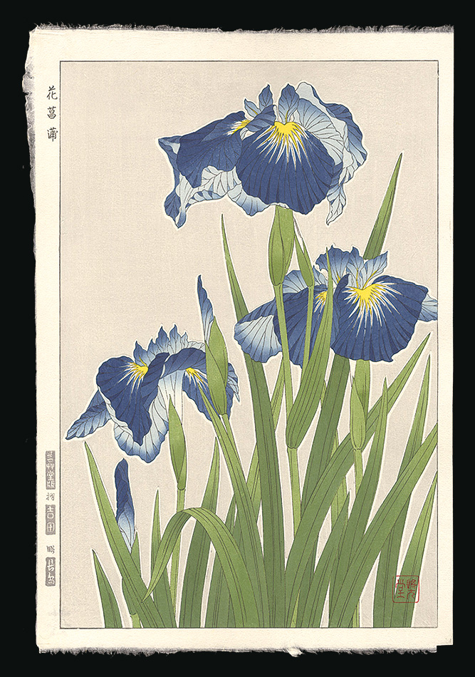 Kawarazaki Shodo “Japanese Iris”／