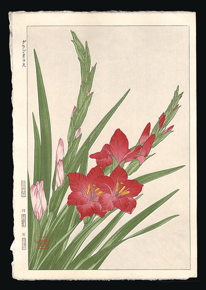 Kawarazaki Shodo “Gladiolus”／