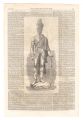 <strong>Matthew Noble and other artists</strong><br>The Anglesey Column Statue and......