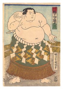 Sumo