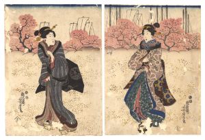 Yoshitora/Two Beauties[美人画]