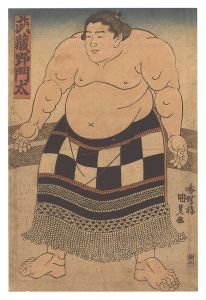 Sumo