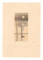 <strong>Philippe Mohlitz</strong><br>Moonlit Night (tentative title......