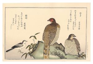 歌麿｢百千鳥狂歌合　山鳥 鶺鴒【復刻版】｣