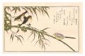 <strong>Utamaro</strong><br>Myriad Birds: A Kyoka Competit......