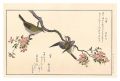 <strong>Utamaro</strong><br>Myriad Birds: A Kyoka Competit......