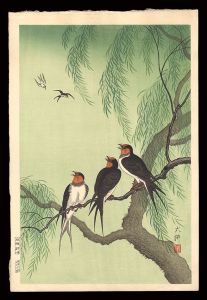 Swallows and Willow (tentative title) / Daiko