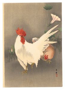 Chickens (tentative title) / Tsuji Kako