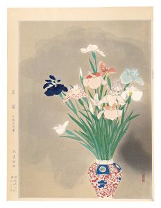 小林古径｢菖蒲｣