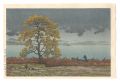 <strong>Kawase Hasui</strong><br>Lakeside Shower at Matsue