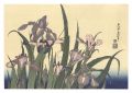Blossoming Irises and Grasshop......