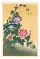 <strong>Ohara Koson(Shoson)</strong><br>Morning-Glory in Full Bloom 