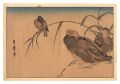 <strong>Utamaro</strong><br>Mallard Ducks and Kingfisher【R......