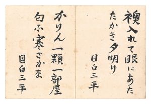 Haiku / Nakamura Takeshi