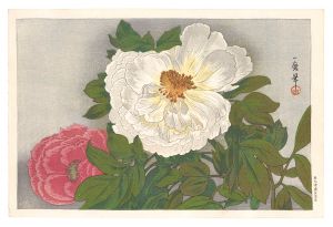 Peony / Oda Kazuma