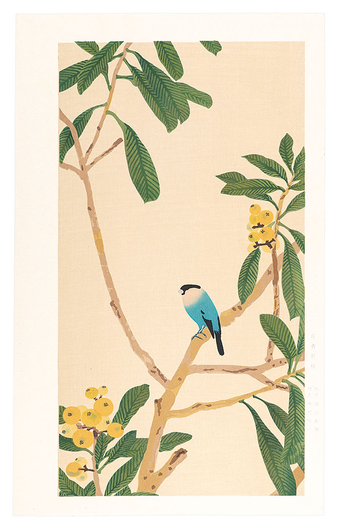 Imamura Shiko “Loquat and Java Sparrow”／