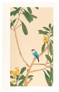 Loquat and Java Sparrow / Imamura Shiko