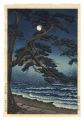 <strong>Ishiwata Koitsu (Shoichiro)</strong><br>Enoshima in the Moonlight