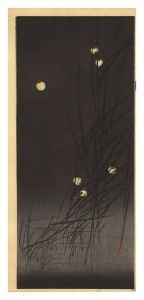 Fireflies (tentative title) / Ito Sozan