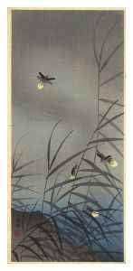 Fireflies / Ohara Koson (Shoson)