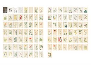 Hundred Flowers Spectrum by Hisui / Sugiura Hisui
