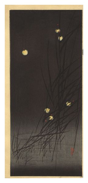 Ito Sozan “Fireflies (tentative title)”／