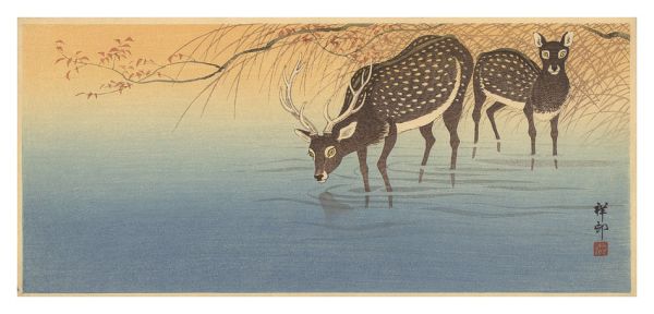 Ohara Koson(Shoson) “Pair of Deer”／