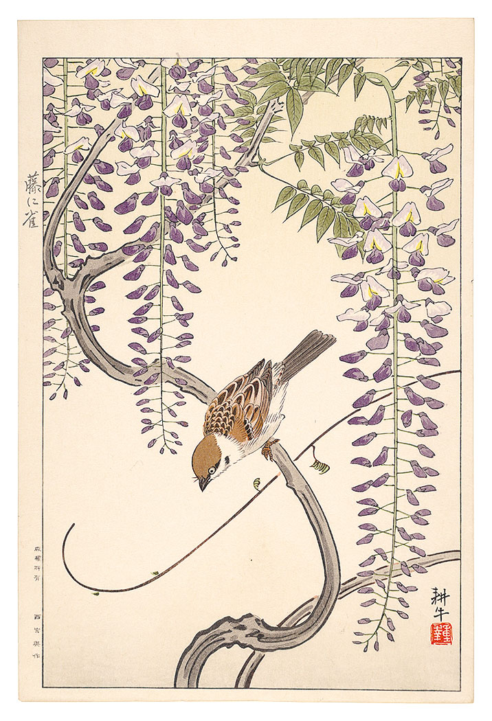 Ono Shigeyuki “Sparrow and Wisteria”／