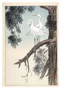 樹上の白鷺（仮題）　／　大野重幸