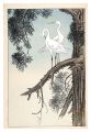<strong>Ono Shigeyuki</strong><br>Egrets on the Branch (tentativ......
