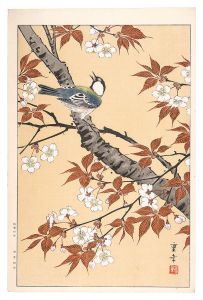 Bird and Flowers (tentative title) / Ono Shigeyuki