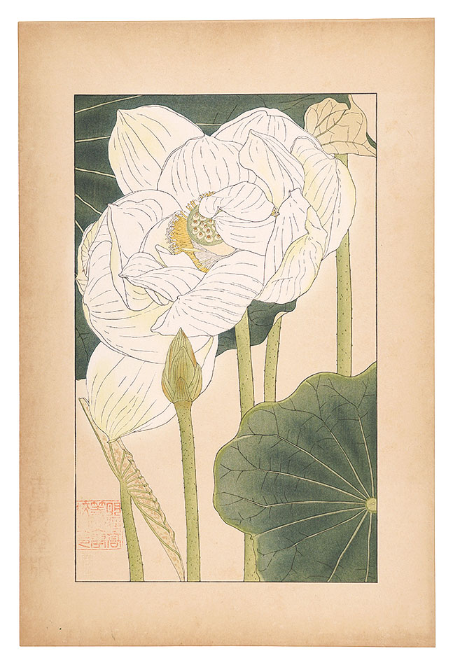 Sugiura Hisui “Lotus”／