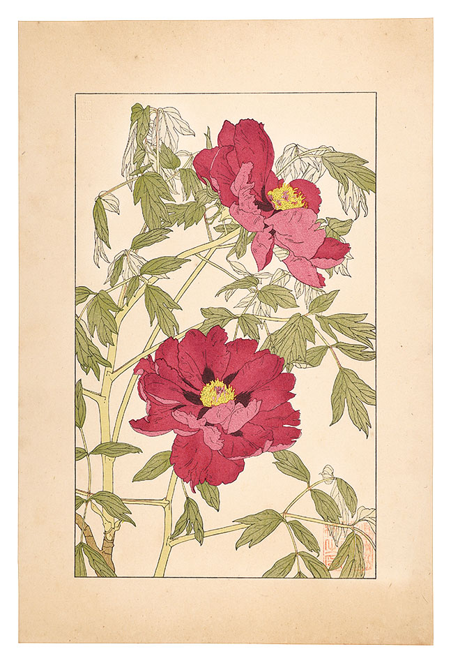 Sugiura Hisui “Peony”／