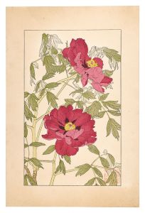 Peony / Sugiura Hisui